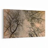 Olla 10850Y Ağaç Görseli Yatay Kanvas Tablo (Ölçü: 45X30)