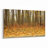 Olla 14449Y Doğa / Manzara Görseli Yatay Kanvas Tablo (Ölçü: 150X100)