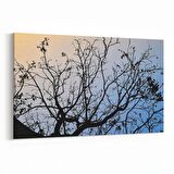 Olla 10742Y Ağaç Görseli Yatay Kanvas Tablo (Ölçü: 45X30)