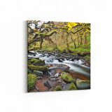 Olla 13170K Doğa / Manzara Görseli Kare Kanvas Tablo (Ölçü: 25X25)