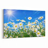 Olla 14323Y Doğa / Manzara Görseli Yatay Kanvas Tablo (Ölçü: 120X80)