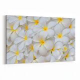 Olla 11633Y Çiçek Görseli Yatay Kanvas Tablo (Ölçü: 70X50)