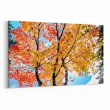 Olla 11008Y Ağaç Görseli Yatay Kanvas Tablo (Ölçü: 120X80)