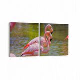 Olla 12481K2Y Hayvanlar Alemi Görseli Kare 2'li Yatay Kanvas Tablo (Ölçü: 65X30)