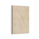Olla 16721D Mermer Desen Görsel Dikey Kanvas Tablo (Ölçü: 100X150)