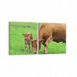 Olla 12667K2Y Hayvanlar Alemi Görseli Kare 2'li Yatay Kanvas Tablo (Ölçü: 125X60)