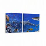 Olla 12143K2Y Akvaryum / Balık Görseli Kare 2'li Yatay Kanvas Tablo (Ölçü: 125X60)