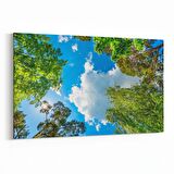 Olla 10514Y Ağaç Görseli Yatay Kanvas Tablo (Ölçü: 90X60)