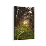 Olla 14005D Doğa / Manzara Görseli Dikey Kanvas Tablo (Ölçü: 70X105)