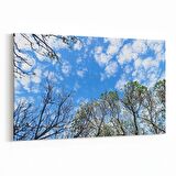 Olla 10803Y Ağaç Görseli Yatay Kanvas Tablo (Ölçü: 150X100)