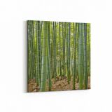 Olla 13866K Doğa / Manzara Görseli Kare Kanvas Tablo (Ölçü: 25X25)