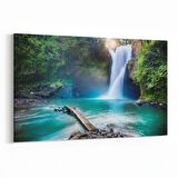 Olla 14082Y Doğa / Manzara Görseli Yatay Kanvas Tablo (Ölçü: 90X60)