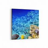 Olla 12124K Akvaryum / Balık Görseli Kare Kanvas Tablo (Ölçü: 30X30)