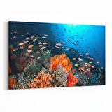 Olla 12079Y Akvaryum / Balık Görseli Yatay Kanvas Tablo (Ölçü: 120X80)