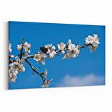 Olla 11052Y Ağaç Görseli Yatay Kanvas Tablo (Ölçü: 150X100)