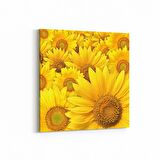 Olla 11579K Çiçek Görseli Kare Kanvas Tablo (Ölçü: 25X25)