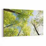 Olla 10688Y Ağaç Görseli Yatay Kanvas Tablo (Ölçü: 45X30)