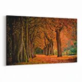 Olla 13607Y Doğa / Manzara Görseli Yatay Kanvas Tablo (Ölçü: 150X100)