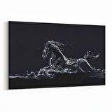 Olla 12547Y Hayvanlar Alemi Görseli Yatay Kanvas Tablo (Ölçü: 90X60)