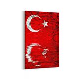 Olla 17564D Türk Bayrağı Görseli Dikey Kanvas Tablo (Ölçü: 60X90)