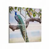 Olla 12459K4 Hayvanlar Alemi Görseli Kare 4'lü Kanvas Tablo (Ölçü: 145X145)