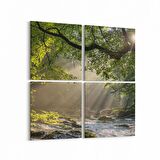 Olla 14139K4 Doğa / Manzara Görseli Kare 4'lü Kanvas Tablo (Ölçü: 65X65)