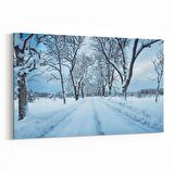 Olla 14148Y Doğa / Manzara Görseli Yatay Kanvas Tablo (Ölçü: 150X100)