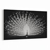 Olla 12601Y Hayvanlar Alemi Görseli Yatay Kanvas Tablo (Ölçü: 90X60)