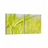 Olla 14327K2Y Doğa / Manzara Görseli Kare 2'li Yatay Kanvas Tablo (Ölçü: 85X40)
