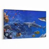 Olla 12143Y Akvaryum / Balık Görseli Yatay Kanvas Tablo (Ölçü: 90X60)
