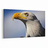 Olla 12595Y Hayvanlar Alemi Görseli Yatay Kanvas Tablo (Ölçü: 70X50)