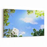 Olla 10775Y Ağaç Görseli Yatay Kanvas Tablo (Ölçü: 45X30)