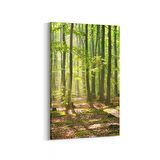 Olla 13593D Doğa / Manzara Görseli Dikey Kanvas Tablo (Ölçü: 100X150)