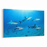 Olla 12870Y Deniz / Okyanus Görseli Yatay Kanvas Tablo (Ölçü: 90X60)