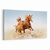 Olla 12643Y Hayvanlar Alemi Görseli Yatay Kanvas Tablo (Ölçü: 45X30)