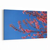 Olla 10513Y Ağaç Görseli Yatay Kanvas Tablo (Ölçü: 90X60)