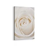 Olla 11641D Çiçek Görseli Dikey Kanvas Tablo (Ölçü: 100X150)