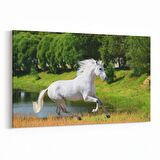 Olla 12491Y Hayvanlar Alemi Görseli Yatay Kanvas Tablo (Ölçü: 120X80)