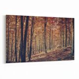 Olla 14136Y Doğa / Manzara Görseli Yatay Kanvas Tablo (Ölçü: 70X50)