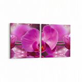 Olla 11731K2Y Orkide Çiçek Görseli 2'li Yatay Kanvas Tablo (Ölçü: 85X40)