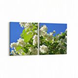 Olla 10900K2Y Ağaç Görseli Kare 2'li Yatay Kanvas Tablo (Ölçü: 85X40)