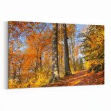 Olla 13255Y Doğa / Manzara Görseli Yatay Kanvas Tablo (Ölçü: 120X80)