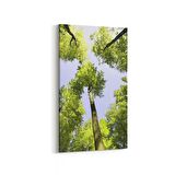 Olla 11543DD Palmiye Ağacı Görseli Dikey Dar Kanvas Tablo (Ölçü: 30X60)