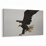 Olla 12526Y Hayvanlar Alemi Görseli Yatay Kanvas Tablo (Ölçü: 150X100)