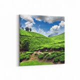 Olla 14545K Doğa / Manzara Görseli Kare Kanvas Tablo (Ölçü: 25X25)