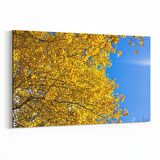 Olla 10838Y Ağaç Görseli Yatay Kanvas Tablo (Ölçü: 90X60)