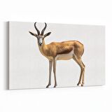 Olla 12571Y Hayvanlar Alemi Görseli Yatay Kanvas Tablo (Ölçü: 45X30)