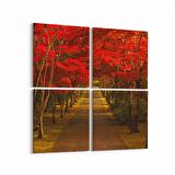 Olla 13956K4 Doğa / Manzara Görseli Kare 4'lü Kanvas Tablo (Ölçü: 145X145)