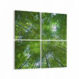 Olla 10518K4 Ağaç Görseli Kare 4'lü Kanvas Tablo (Ölçü: 145X145)