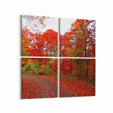 Olla 13211K4 Doğa / Manzara Görseli Kare 4'lü Kanvas Tablo (Ölçü: 145X145)